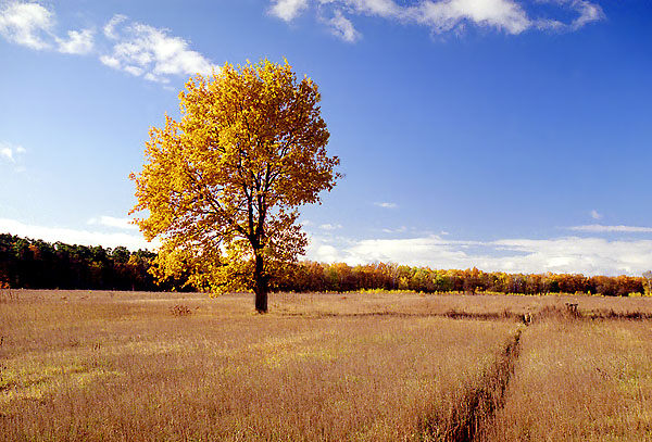 Jesien-Autumn-Krajobraz-1.jpg